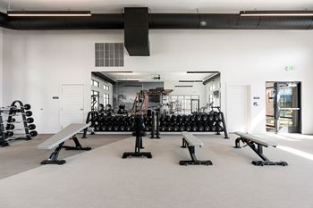 Weightlifting machines in gym